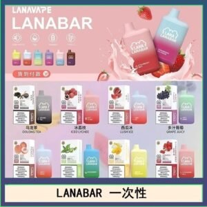 LANA BAR可充电一次性電子煙霧化5000口(3.0%)