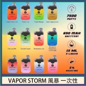 Vapor Storm風暴電子煙7500口（5%）一次性