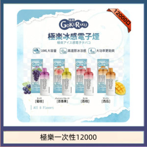 【8種口味】極楽 12000口一次性電子煙|超大容量 |口感絲滑|新品